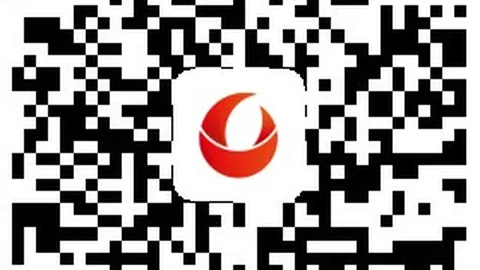 终极指南：川崎前锋与上海申花交锋，进球吹罚与乌龙重击